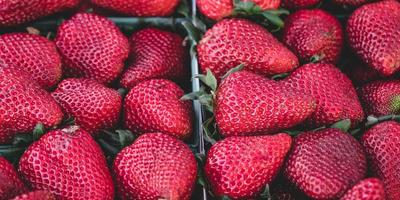 NBA集锦